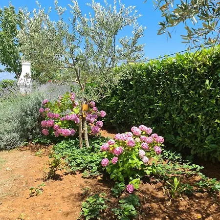 شقة Jana Salatić