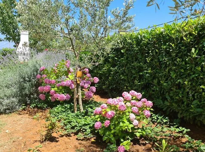 Διαμέρισμα Jana Salatić